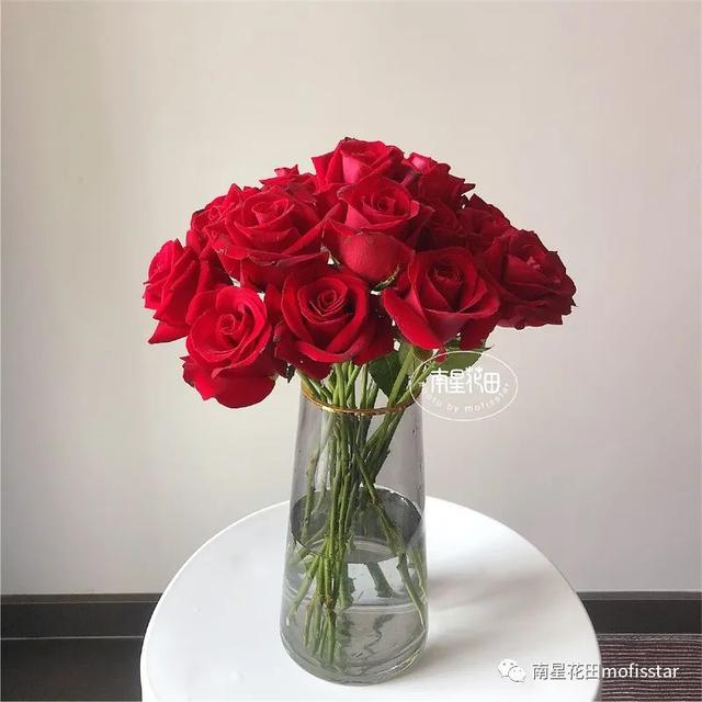 七朵玫瑰代表什么，最常见的红玫瑰（四朵玫瑰花是什么意思）