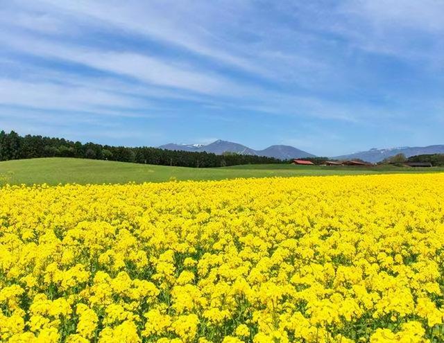 亲情指的是什么呢，亲情指的是什么呢英文（人到晚年才懂：什么是亲情）