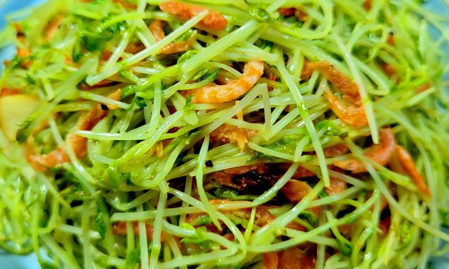 黄豆芽怎么做，黄豆芽怎么做下奶（遇到豌豆苗别手软）