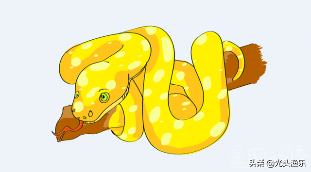 蚺和蟒的区别，2020蟒蛇把一家5口人吃了（老话讲：大蛇为蟒，巨蟒为蚺）