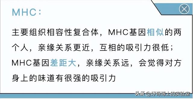 体香是怎么产生的，如何让身体散发自然体香（为什么女生闻起来都是香香的）