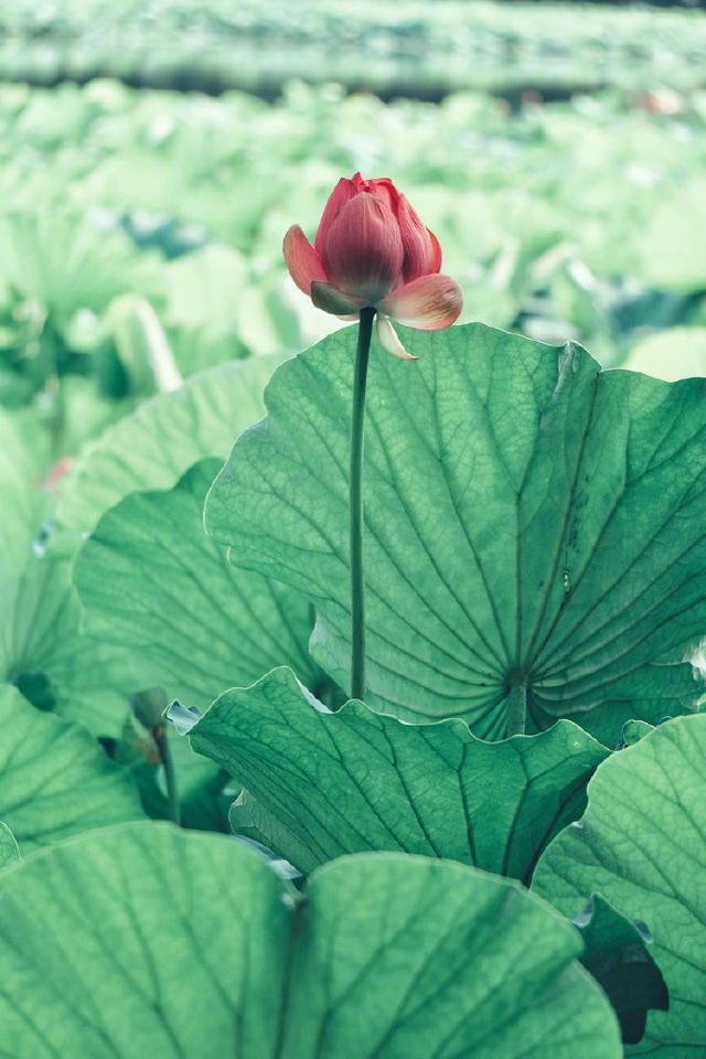 比较有道理的句子，十分有道理的句子（21条富含人生感悟的说说）