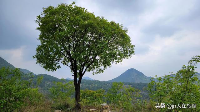 厦门龙洞风景区，厦门龙洞风景区门票多少（厦门龙洞：罕见的峡谷地貌）