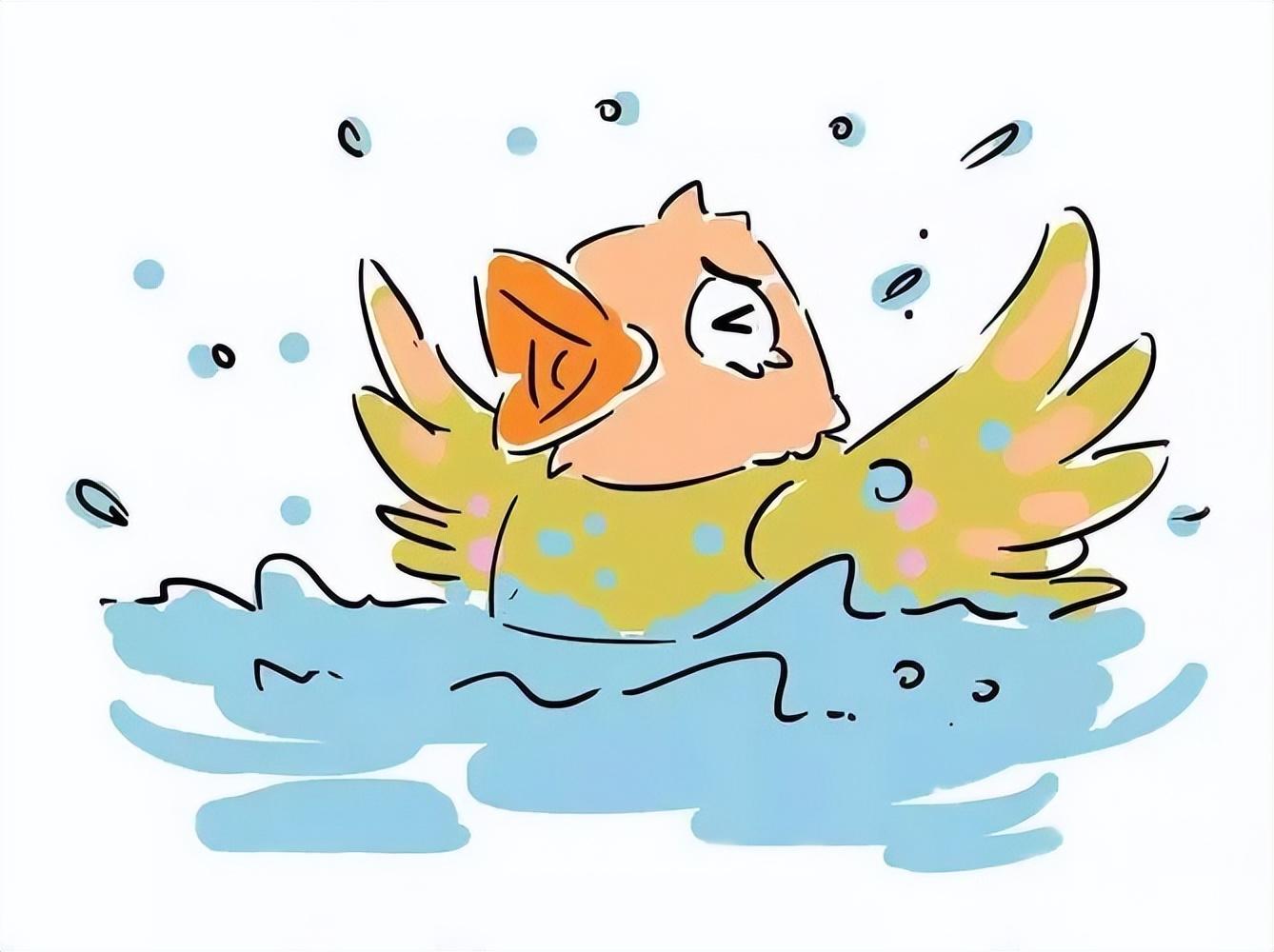 跌落水有只雀仔跌落水《有只雀仔跌落水》好似你咁样象边有只马骝仔羊