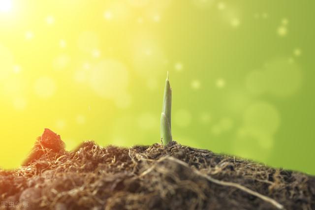 春种一粒粟的下一句，春种一粒粟下一句（惜福：春种一粒粟，锄禾日当午）