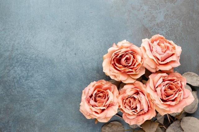 取悦自己是什么意思，的意思是什么（有一种聪明的生活方式）