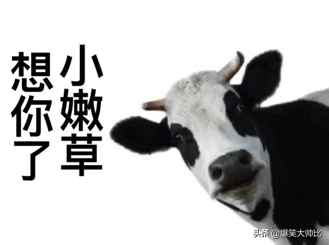 炒鸡可爱的表情包，拿去不谢！，微信头像，炒鸡可爱的表情包，拿去不谢！（炒鸡沙雕搞笑表情包）