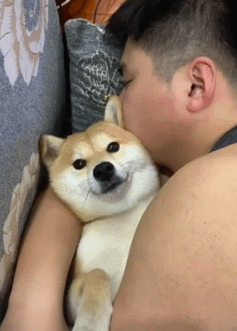 独特好听的零食店名字360个 零食店名字有创意的取名大全，独特好听的零食店名字360个（2022年狗狗“爆款”名字公布）