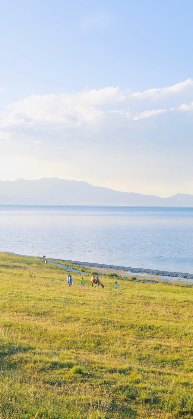 夏天干净治愈系美图 前方的风景好 我的意思是别回头,治愈的夏天图片