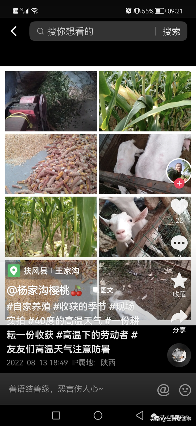 学电商的出来可以做哪些工作，学电商做什么工作（返乡创业青年童维东的“电商筑梦”路）