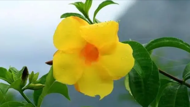 聊天不要嗯嗯嗯嗯嗯，热情点。，嗯嗯嗯的说话（会让对方爱你上瘾图片）