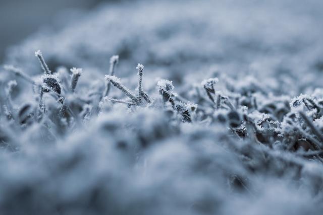 下雪时候的心情短语，下雪了关于心情的句子（适合下雪发的浪漫文案）