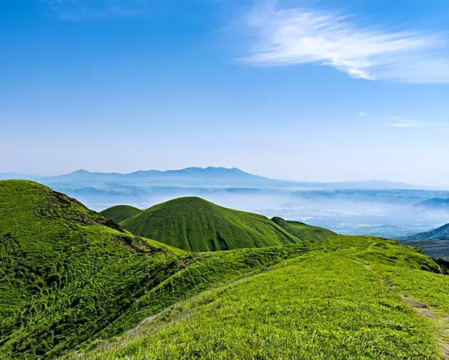 啾组词啾的组词啾字怎么组词，啾字组词和拼音（何鹤改诗<14>）