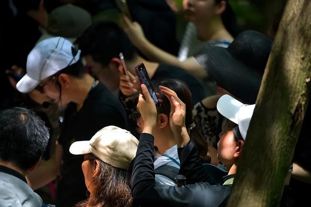 苏堤的由来， 这场山水间的文化体验之旅揭秘不为人知的千年城市历史