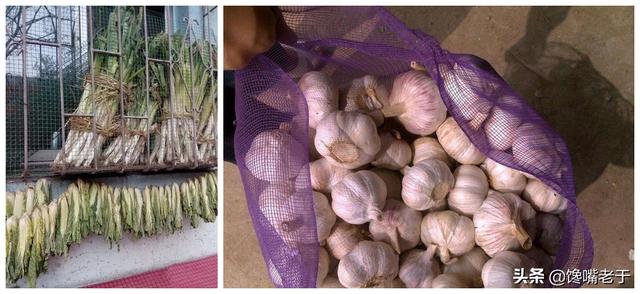 姜的保存最佳方法，生姜的保存方法（腊月买正月用也不坏）