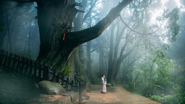 君子求诸己小人求诸人，君子求诸己小人求诸人什么意思（《论语》精华10句）