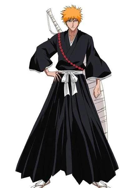 死神之邪气一护，又酷又帅又可爱的反派角色（死神人物志之黑崎一护）