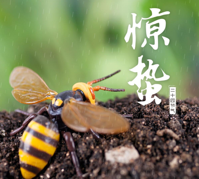 惊蛰可以吃什么，建议大家多吃“3样”