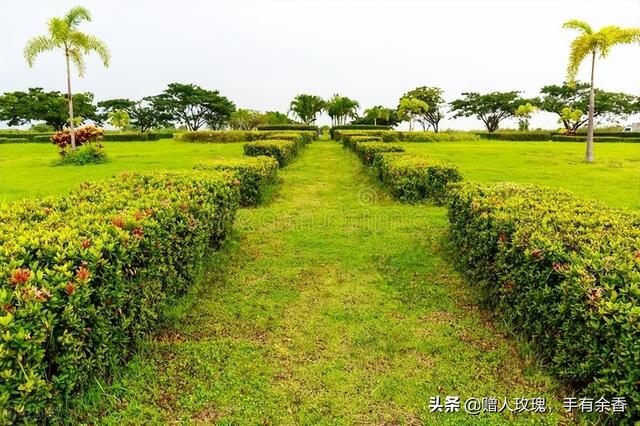 闲情雅致是夸人的意思吗，闲情雅致的意思（<一>——闲情雅致）