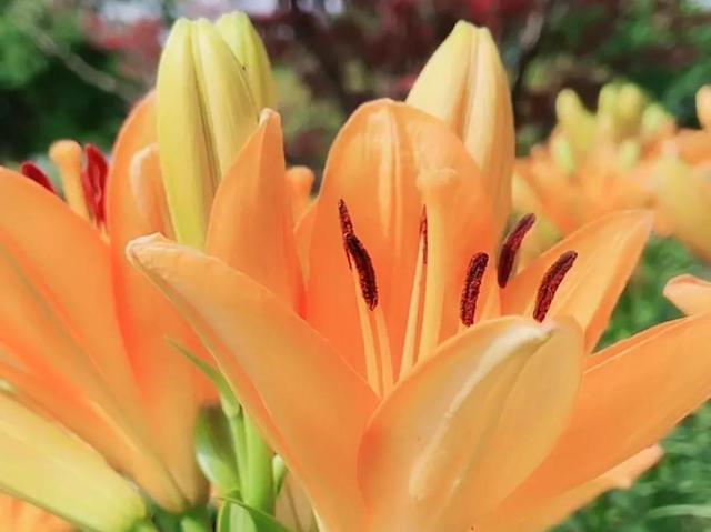 努力的意义是什么，努力的意义是什么图片（女人努力的意义是什么）