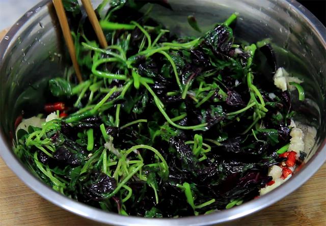 菜类蔬菜名字，菜类蔬菜名字大全（一天的钙都补足了）