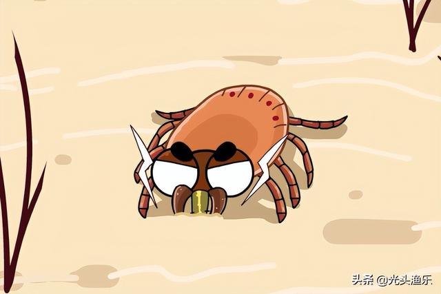 蜱虫有毒吗，蜱虫的危害（小时候拿来当“玩具”的蜱虫）