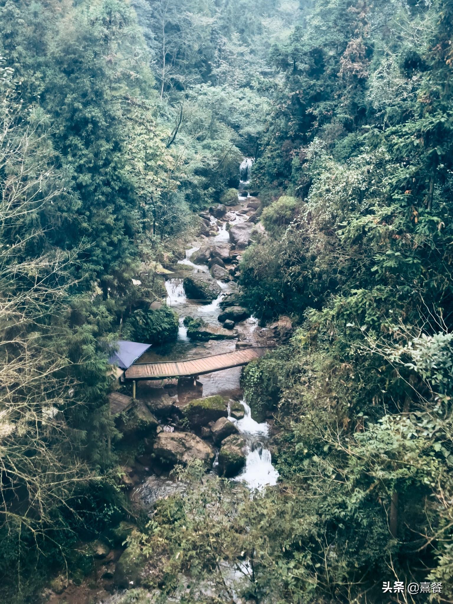 青城山后山门票(青城山后山景区门票)