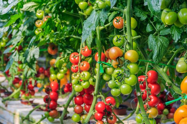 春种一粒粟的下一句，春种一粒粟下一句（惜福：春种一粒粟，锄禾日当午）