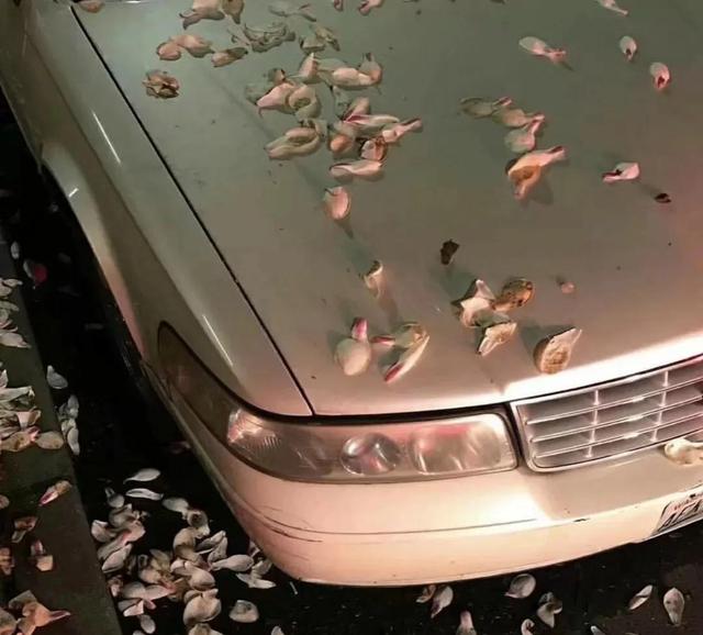 吃药最经典的语句，游戏签名简单一句话（生病时发的文案）