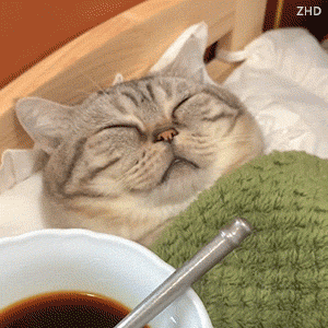 局域网共享文件夹设置，如何在局域网内建立共享文件夹（批量共享文件夹工具体验）