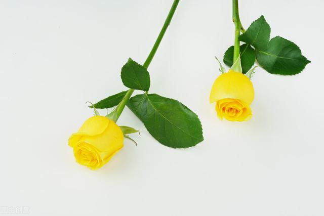 一生只爱一个人，哪些星座一生只爱一人（你是我心中的无可代替）