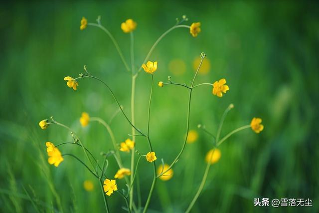 最佳的恋爱相处模式是怎样的，成熟的恋爱相处方式是怎样的（都能相守一生）