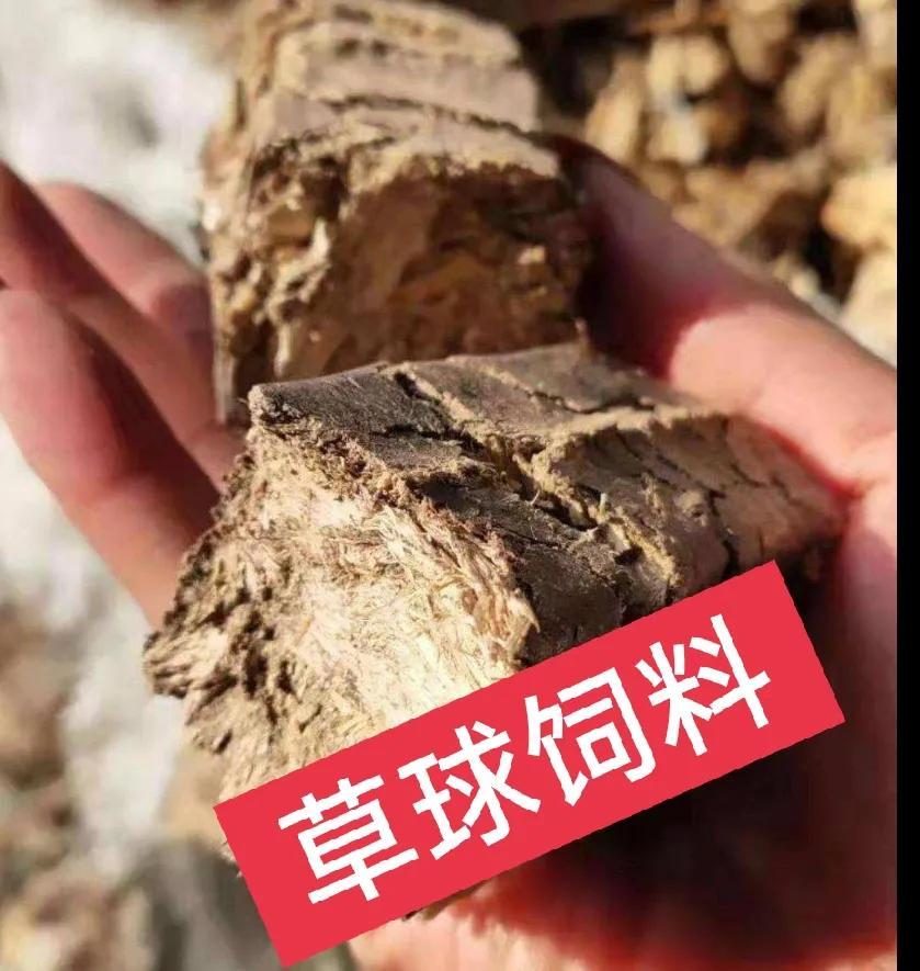 农村投资项目(国家扶持致富新项目)
