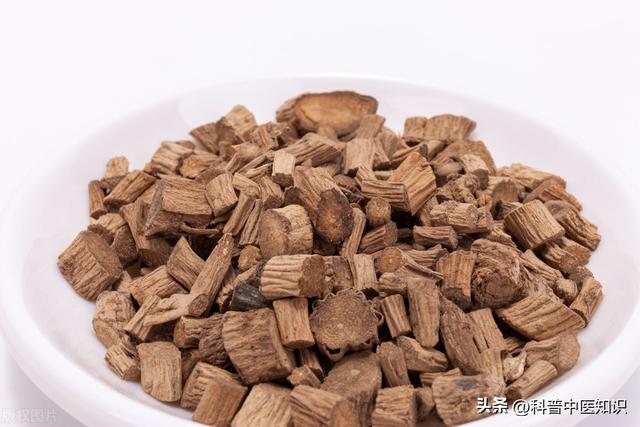 牛膝的功效与作用，牛膝的功效和作用有什么（引气血及药物下行<一>）