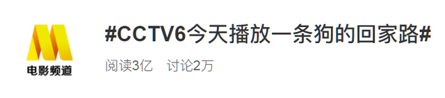 六公主今天放的什么电影，六公主今天放了什么电影（“央视顶流”六公主）