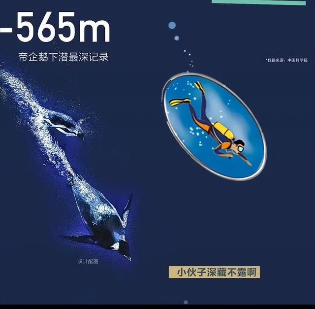 海洋底下一万米科普，从0米到10000米