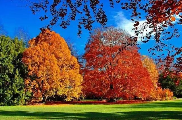 秋天是一个什么样的季节，秋天是一个什么样的季节写一段话（分享绝美秋色：叠翠流金）