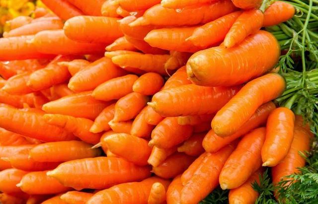 胡萝卜能不能多吃吗，胡萝卜能不能多吃（多吃未必对身体健康有好处）