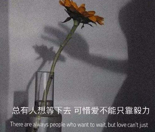 崩溃的句子说说心情，生活中突然情绪崩溃的句子（很伤感的重度抑郁的伤感句子）