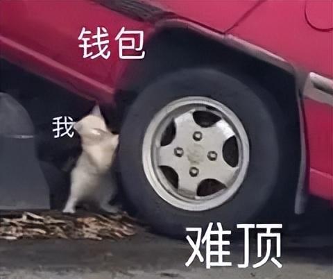 有什么推荐的小屏手机，有什么推荐的小屏手机游戏（这就是今年最值得买的小屏旗舰）