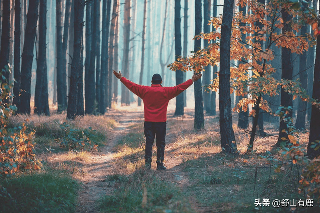 后来的我们没有走到一起，后来的我们没有走到一起是什么歌（有一种人混到最后没有一个朋友）