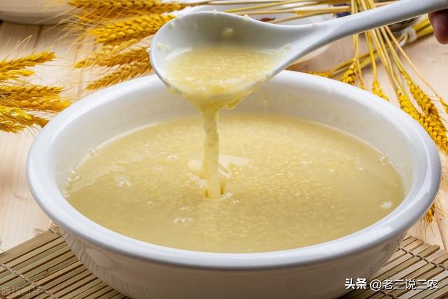 米糠的功效与作用，小米糠的功效与作用（医生告诉你答案，早知道早受益）
