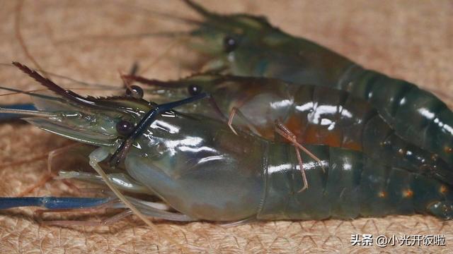 罗氏虾是海虾吗，罗氏虾是海虾吗图片（我觉得罗氏虾更好吃）