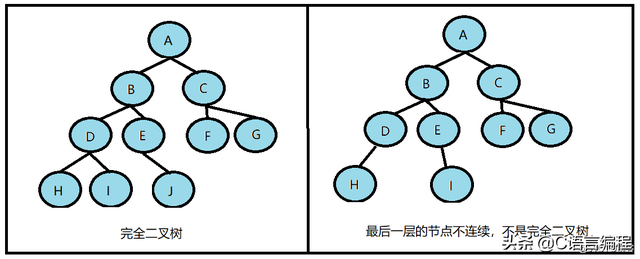 二叉树的深度和高度有什么区别，二叉树的高度与深度（C语言数据结构：什么是树）