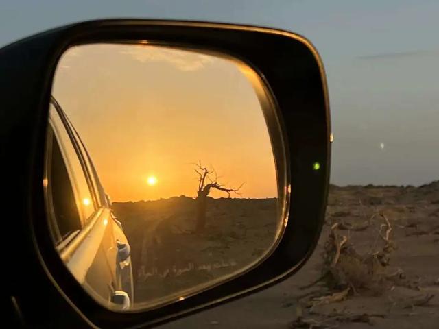 自驾游去哪里比较好，春季自驾游去哪里比较好（100天35000公里）