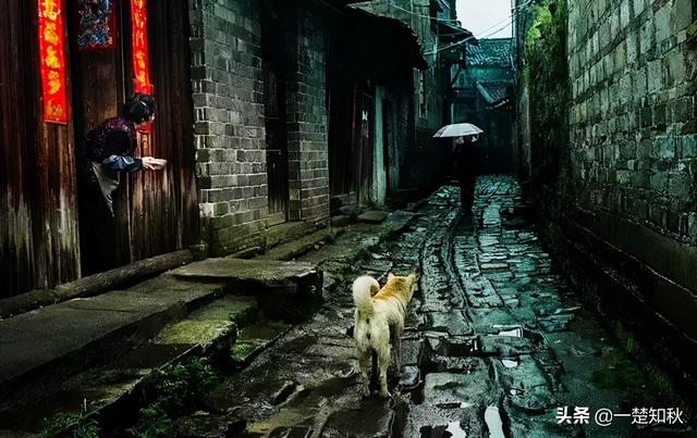 “临川才子金溪书”，之“金溪书”（曾是江西最大的印书中心）