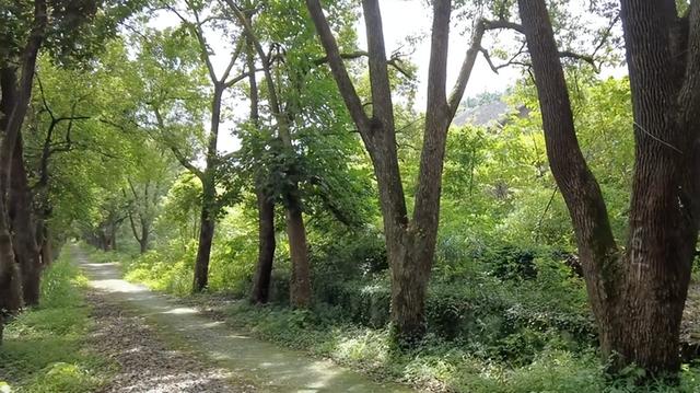 重庆市工业学校，重庆市工业学校2021招生简章（北碚这所中专校园荒废了13年还保留完好；30多年前比大学还吃香）