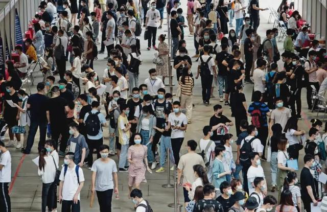 没学历最吃香的职业(现在的年轻人学点什么技术比较好)
