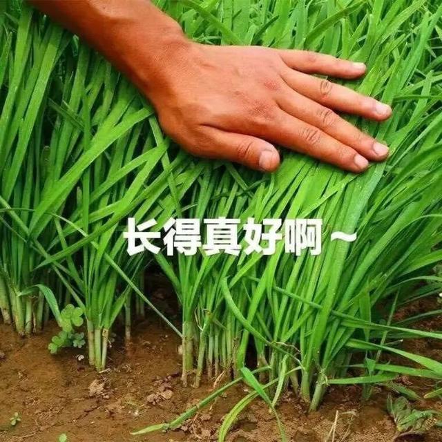建设银行商贷利率是多少，建行商业贷款利率（肇庆16家银行利率）