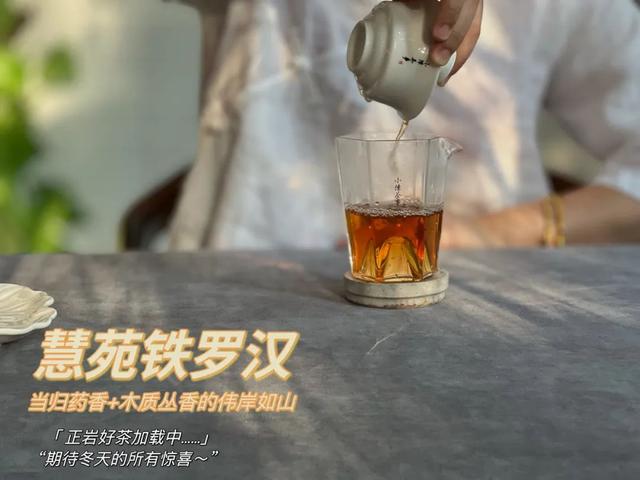 铁罗汉是什么茶，铁罗汉茶属于什么茶（不识慧苑老丛铁罗汉）